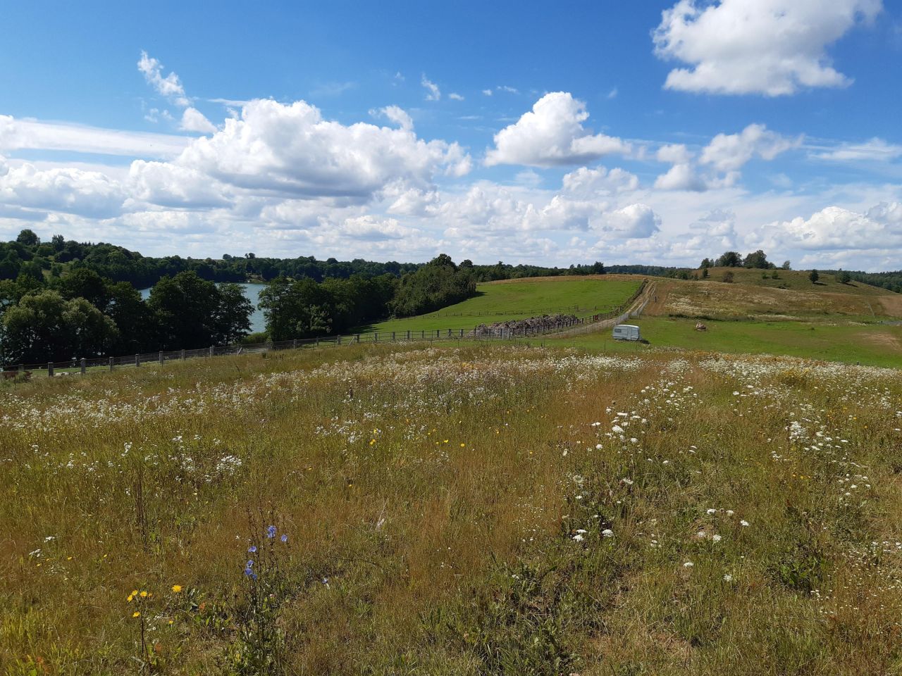 Działka rolno-budowlana Rogale. Zdjęcie 5