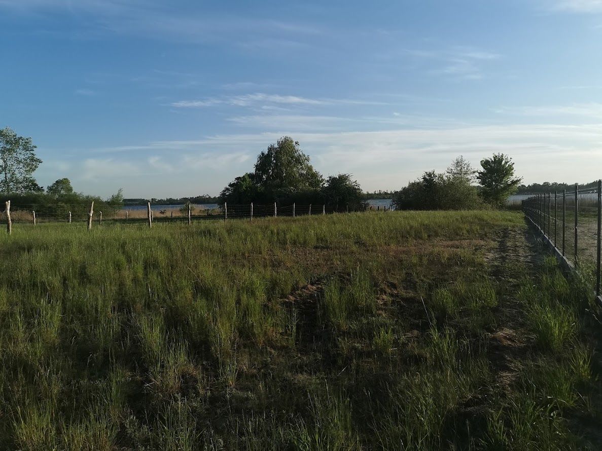 Działka budowlana Rogowo, ul. Topolowa. Zdjęcie 13