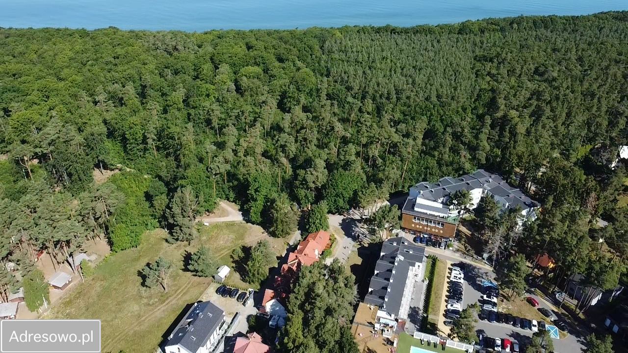 Nieruchomość komercyjna Poddąbie. Zdjęcie 3