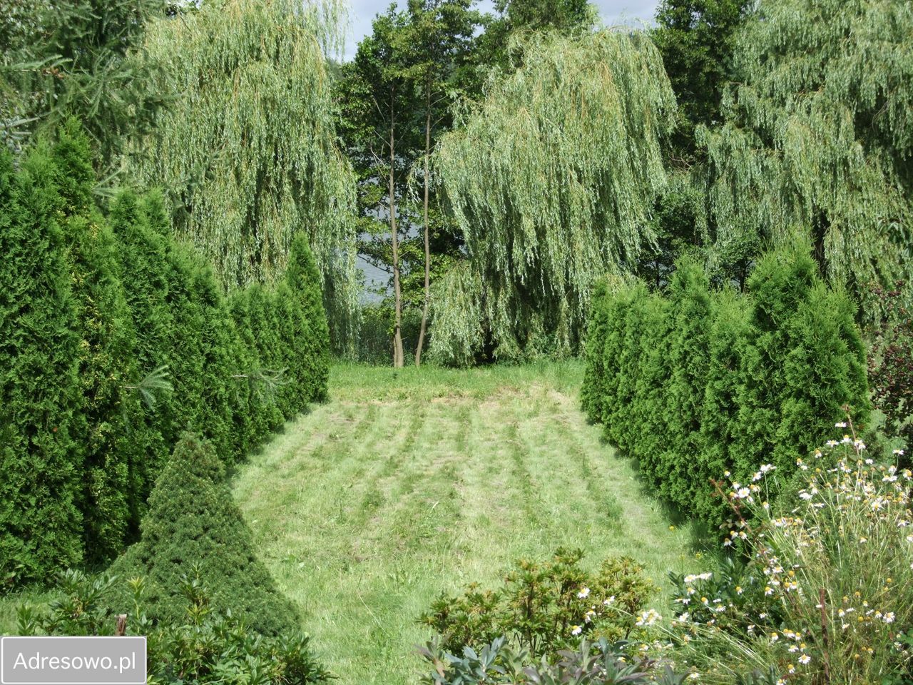 Działka rekreacyjna Ostrowite Wronka. Zdjęcie 5