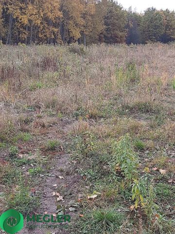 Działka budowlana Rusiec. Zdjęcie 5