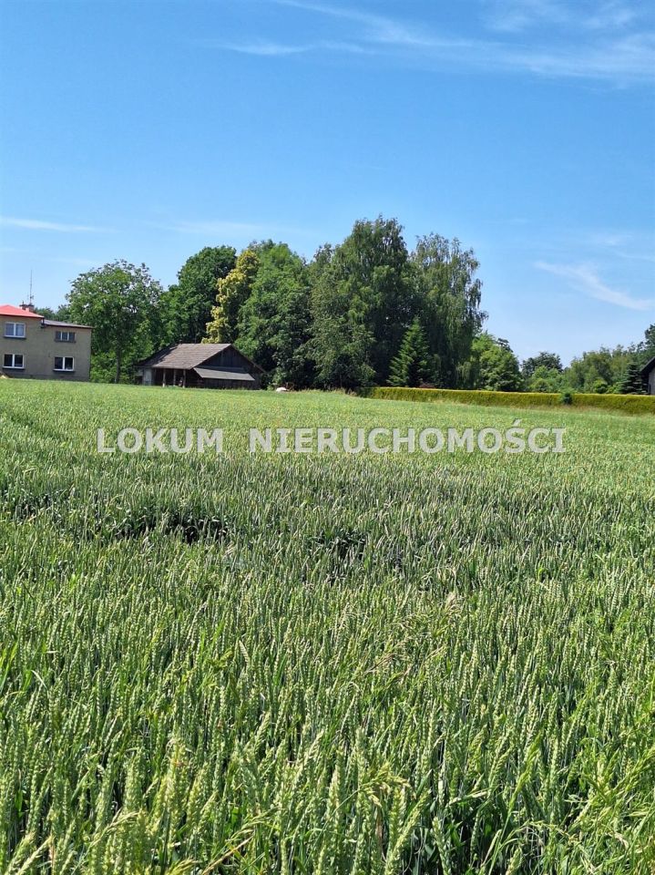 Działka budowlana Kończyce Małe, ul. Brzoskwiniowa. Zdjęcie 1