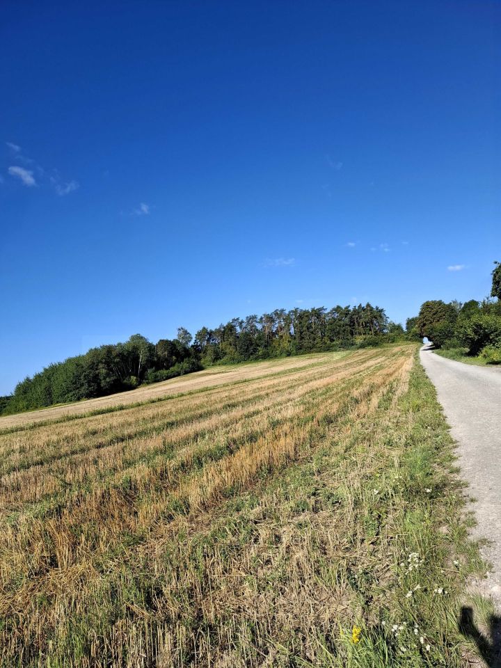 Działka Stare Radzikowo. Zdjęcie 3