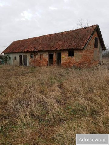 Działka rolna Saduny. Zdjęcie 1