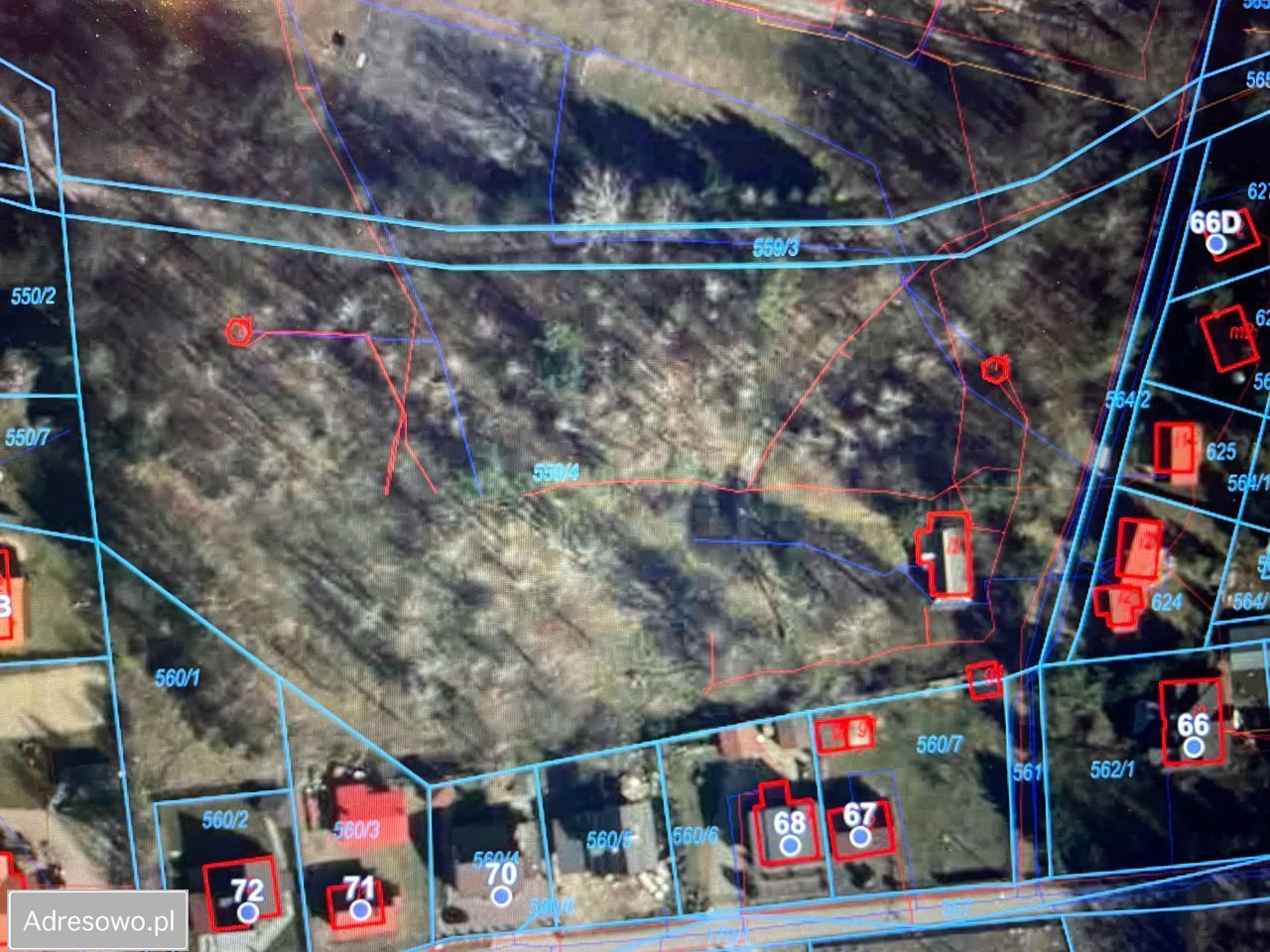 Działka budowlana Kolano. Zdjęcie 2