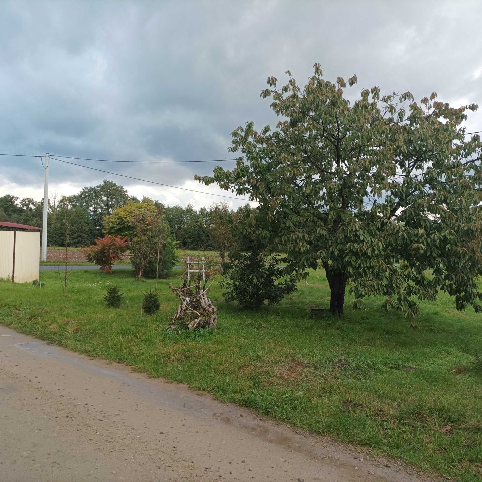 Działka rolno-budowlana Słoneczna Frankowizna. Zdjęcie 7