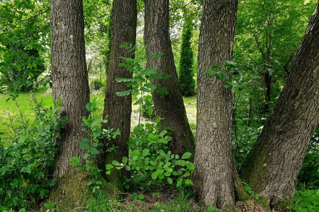 dom wolnostojący, 3 pokoje Łapalice, ul. Zamkowa. Zdjęcie 52