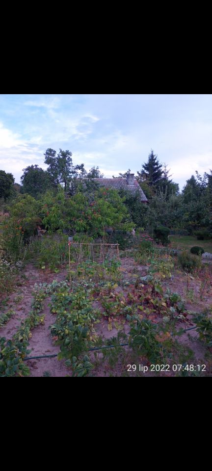 Działka rekreacyjna Zgorzelec, ul. Łużycka. Zdjęcie 9