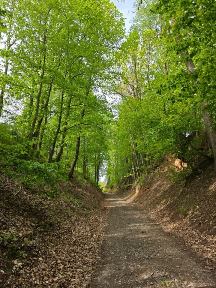 Działka budowlana Ścinawica. Zdjęcie 3