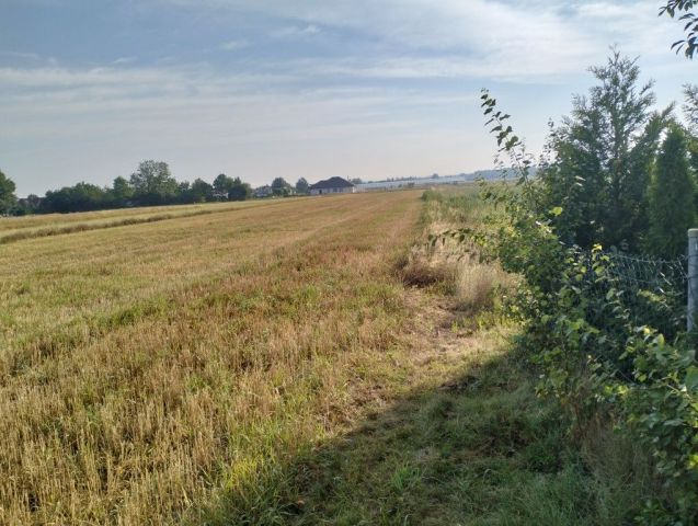 Działka budowlana Płoskie. Zdjęcie 1