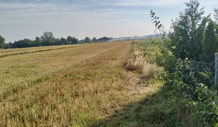 Działka budowlana Płoskie