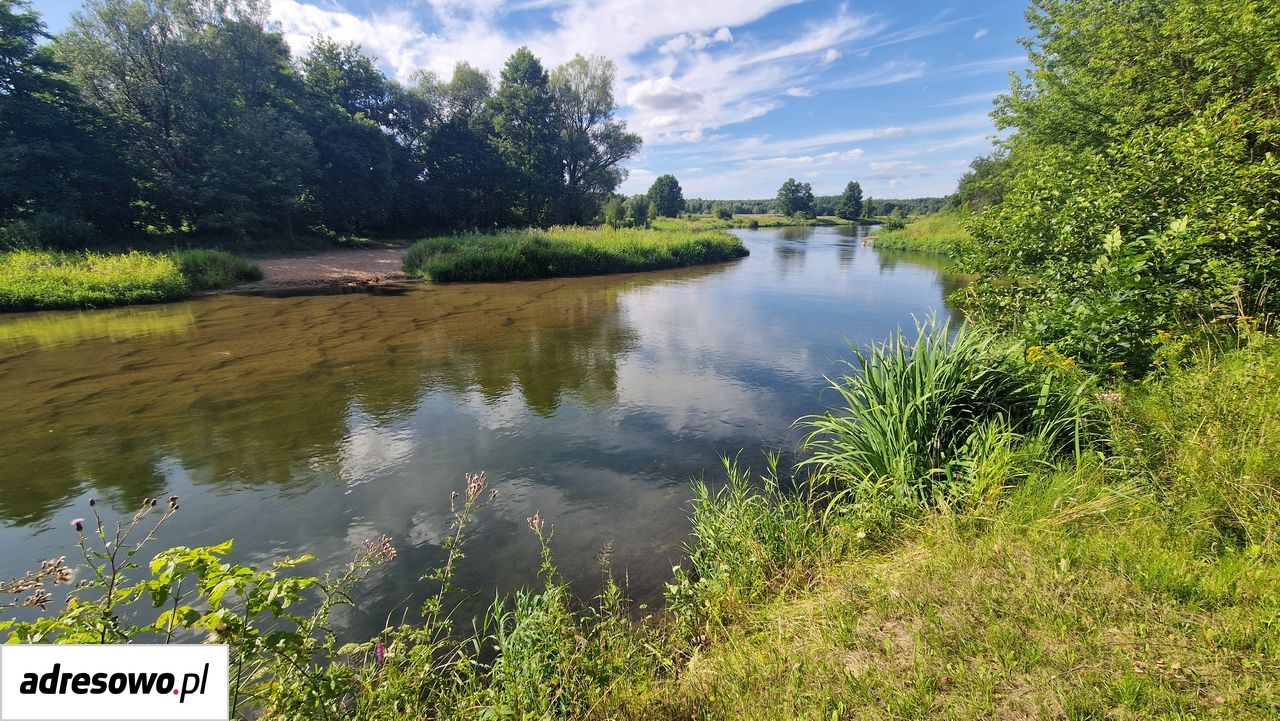 Działka rekreacyjna Strobin. Zdjęcie 18