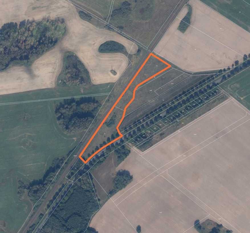 Działka rolna Chociwel. Zdjęcie 7