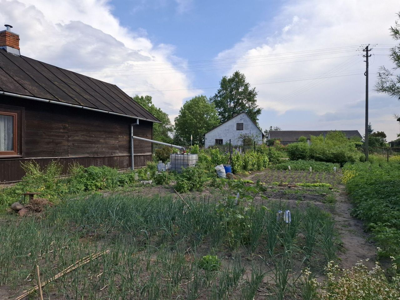 siedlisko, 2 pokoje Komorów. Zdjęcie 4