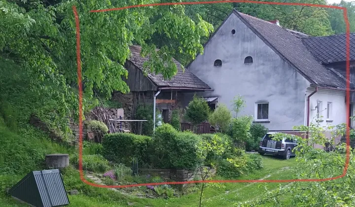 bliźniak Łysina