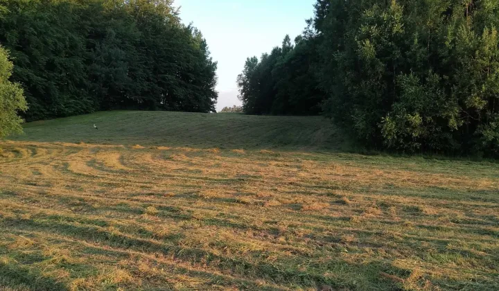 Działka budowlana Częstocin, ul. Letnia