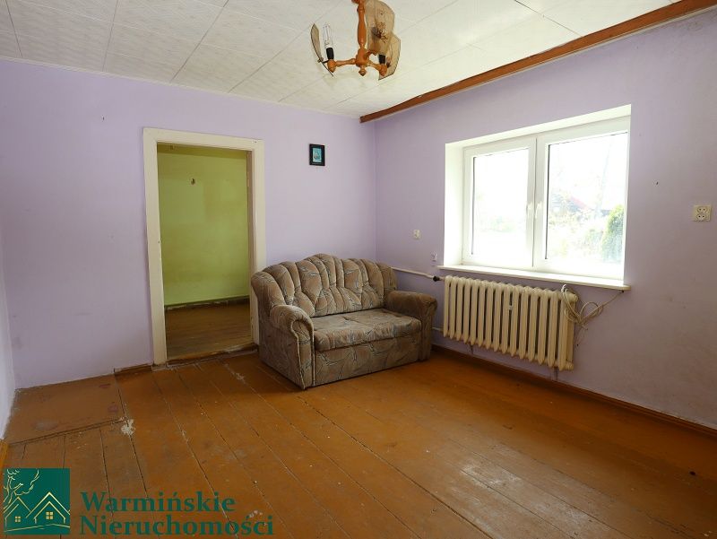 bliźniak Wirwilty. Zdjęcie 11