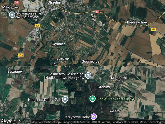 gospodarstwo, 4 pokoje Gęsiniec, ul. Gajowa. Zdjęcie 1