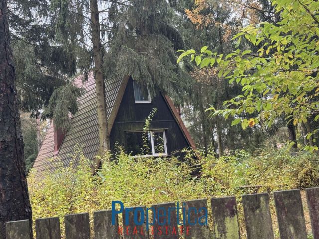 dom wolnostojący, 3 pokoje Natać Wielka. Zdjęcie 17