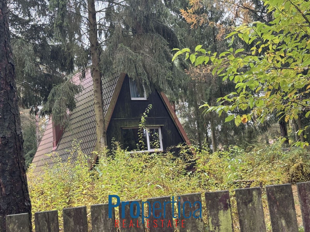 dom wolnostojący, 3 pokoje Natać Wielka. Zdjęcie 17