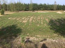 Działka budowlana Nowe Sołdany. Zdjęcie 2