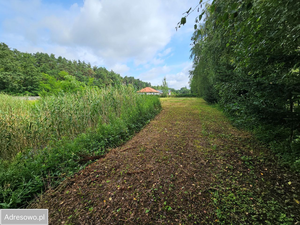 Działka budowlana Płock, ul. Włościany. Zdjęcie 14