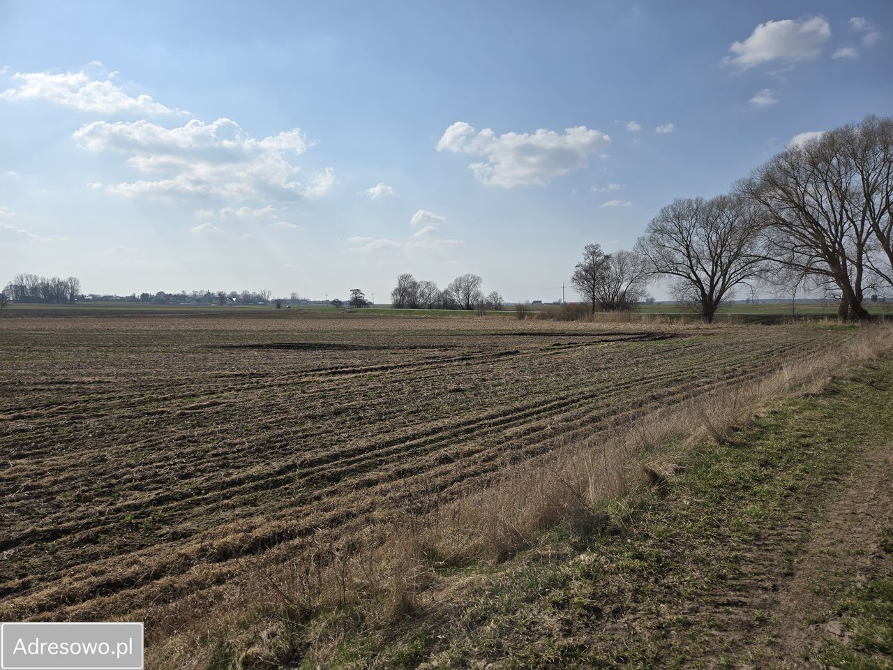 Działka rolna Turów. Zdjęcie 4