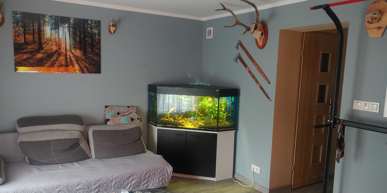 Mieszkanie 4-pokojowe Modliszewko. Zdjęcie 2