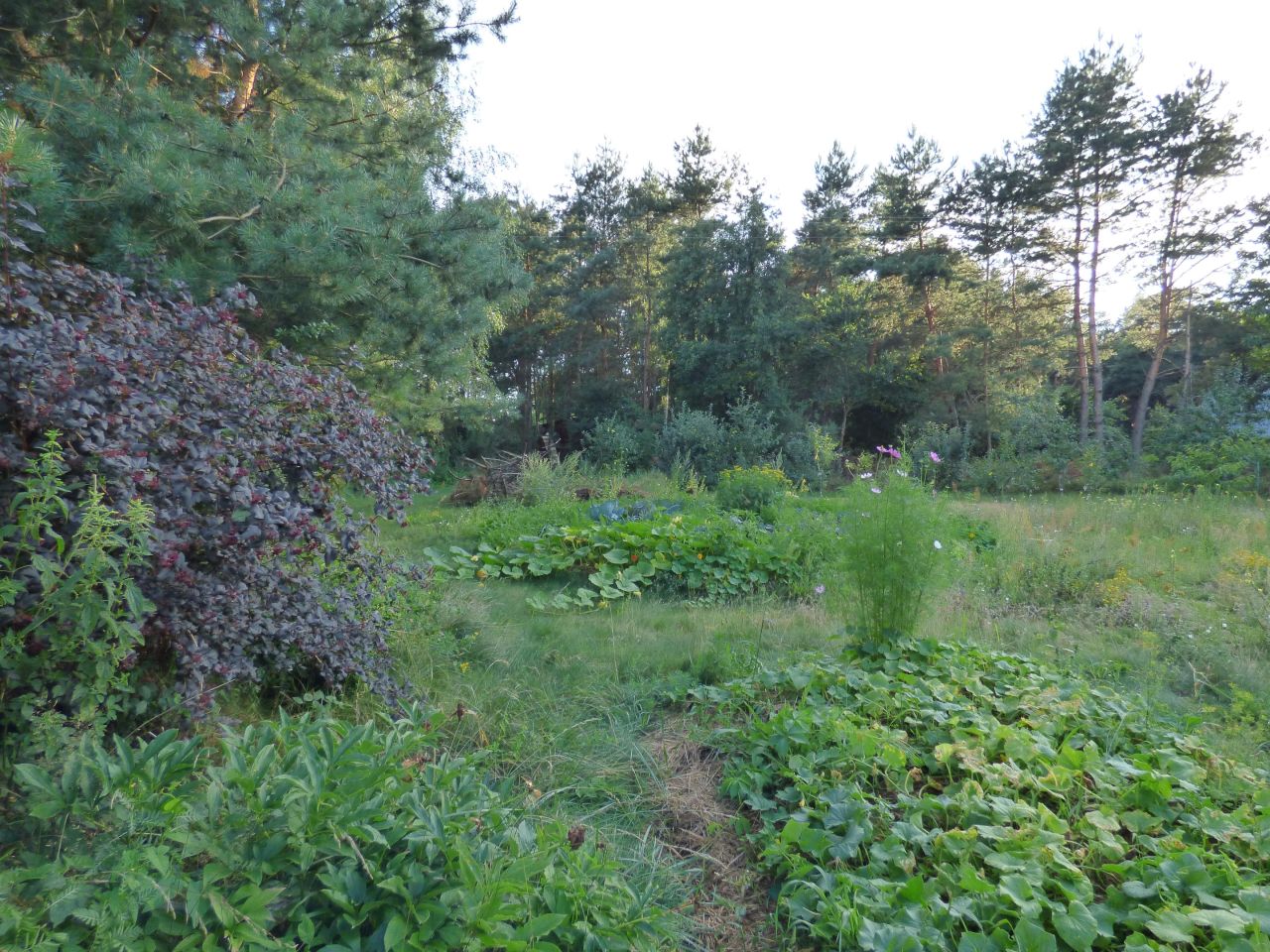 dom wolnostojący, 3 pokoje Górki Grubaki. Zdjęcie 16