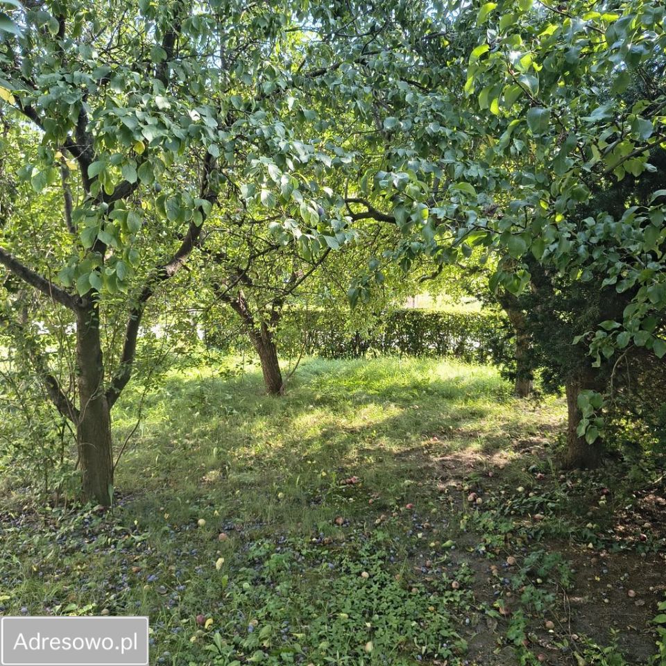 dom wolnostojący, 2 pokoje Janów. Zdjęcie 13