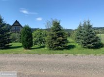 dom wolnostojący, 3 pokoje Huzele. Zdjęcie 4