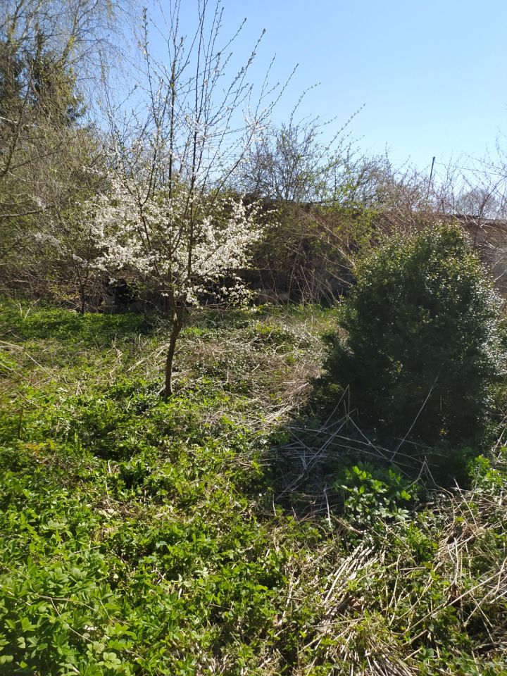 Działka rolno-budowlana Długobór. Zdjęcie 2