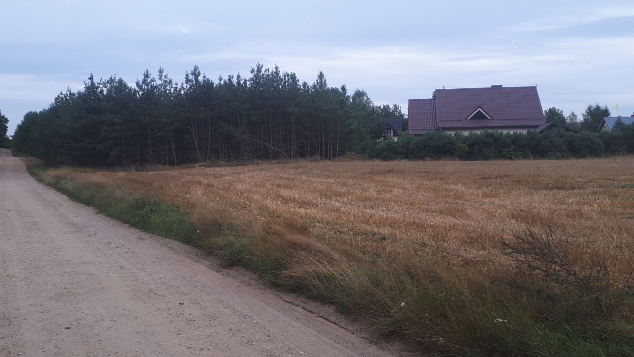 Działka rekreacyjna Niesiołowice. Zdjęcie 4