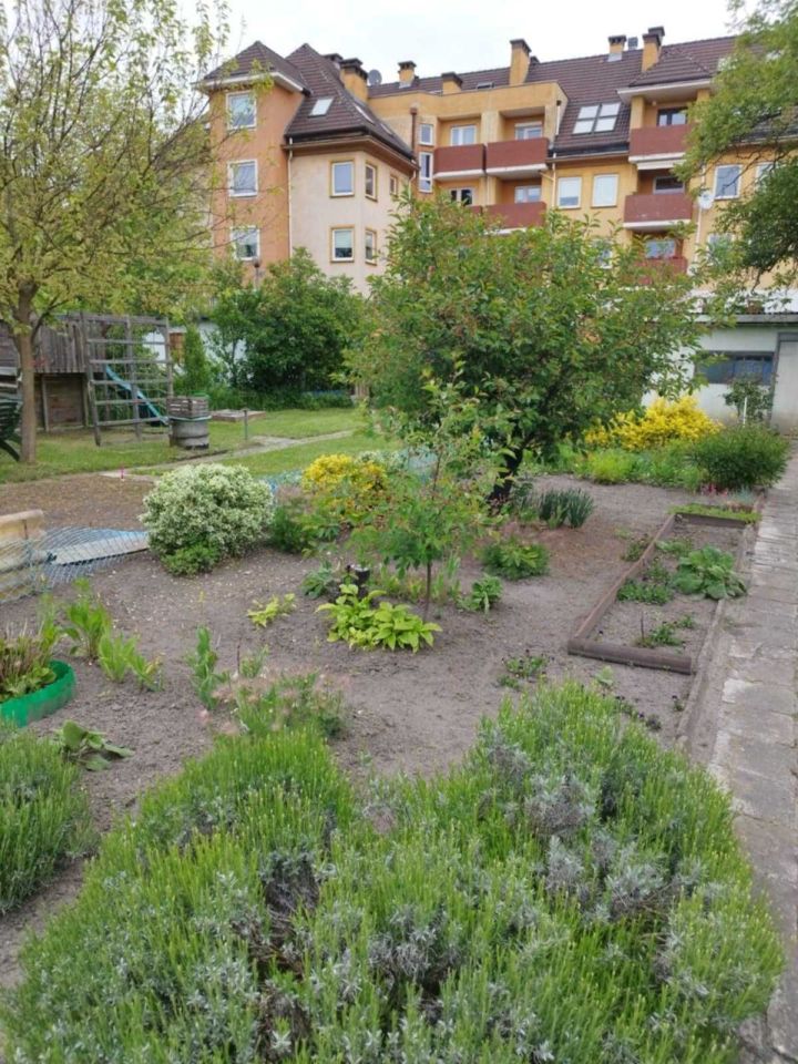 Działka rod Wrocław Śródmieście. Zdjęcie 6