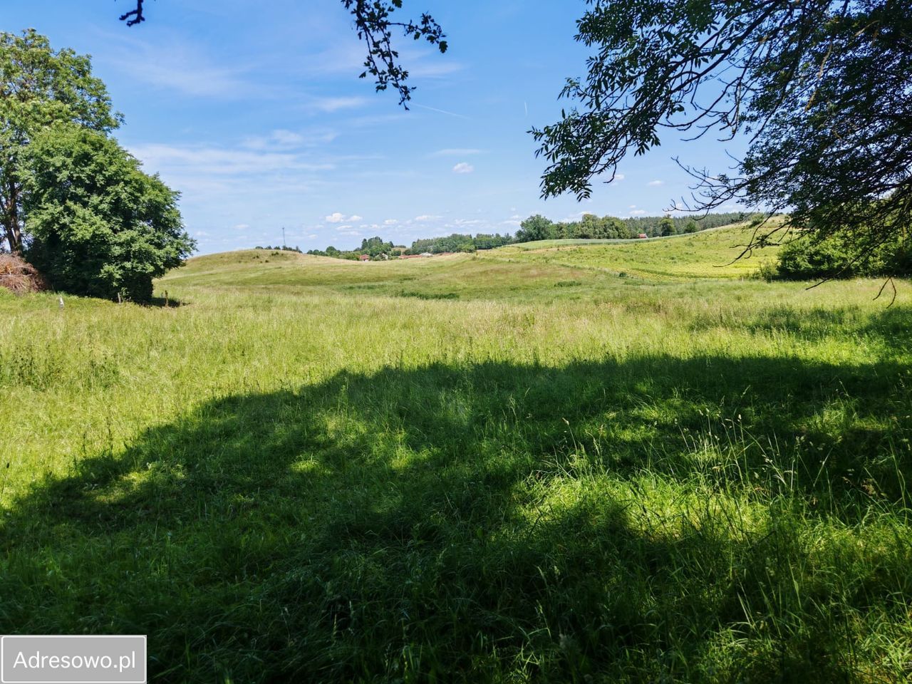 Działka rolna Dąbrówka. Zdjęcie 6