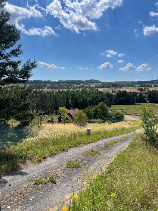 Działka budowlana Zamłynie. Zdjęcie 5