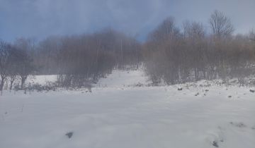 Działka budowlana Gruszowiec Do Kuźli