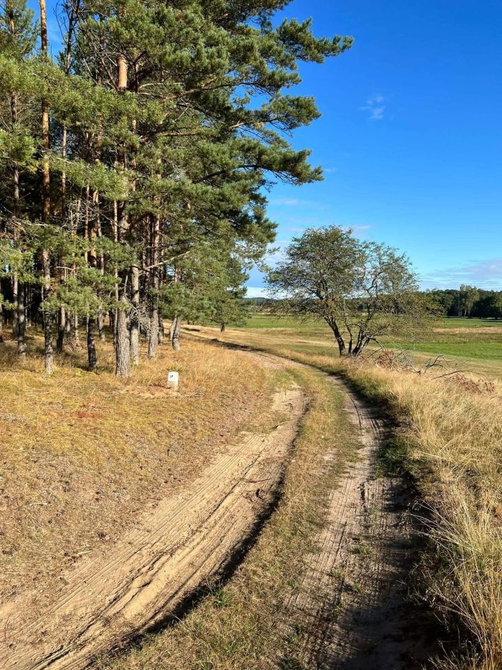 Działka rolna Trzebielino, Trzebielino. Zdjęcie 6