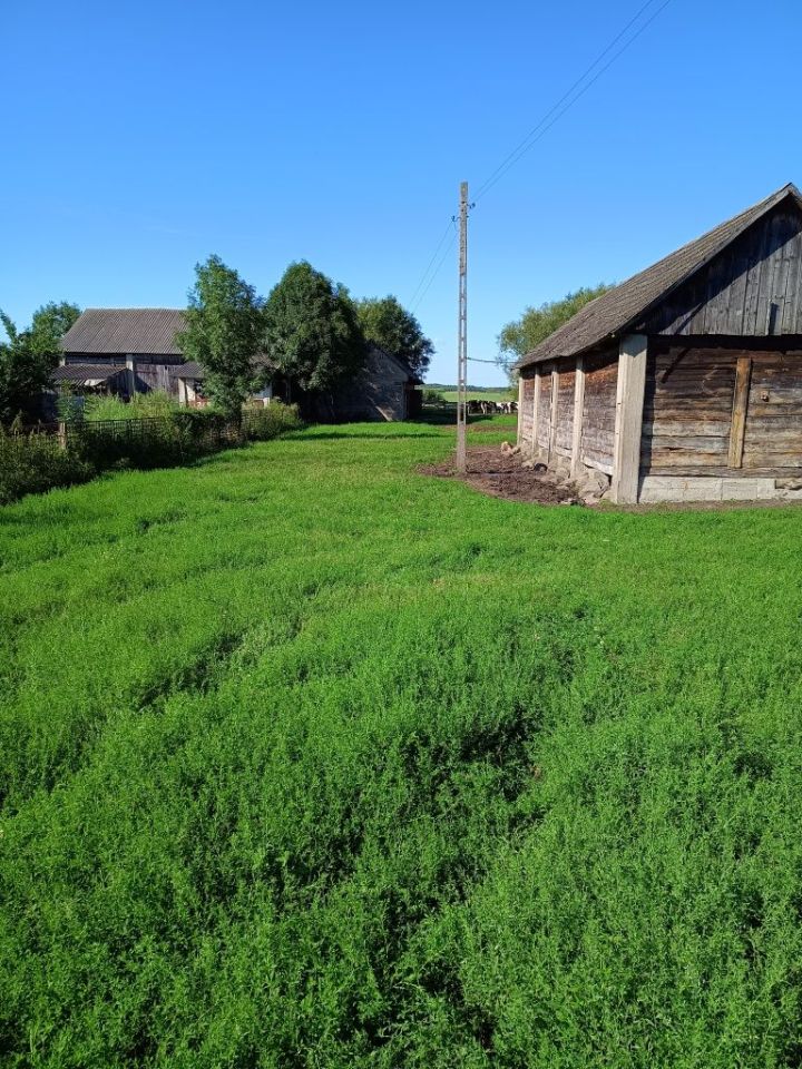 Działka siedliskowa Załuskie Kościelne. Zdjęcie 5