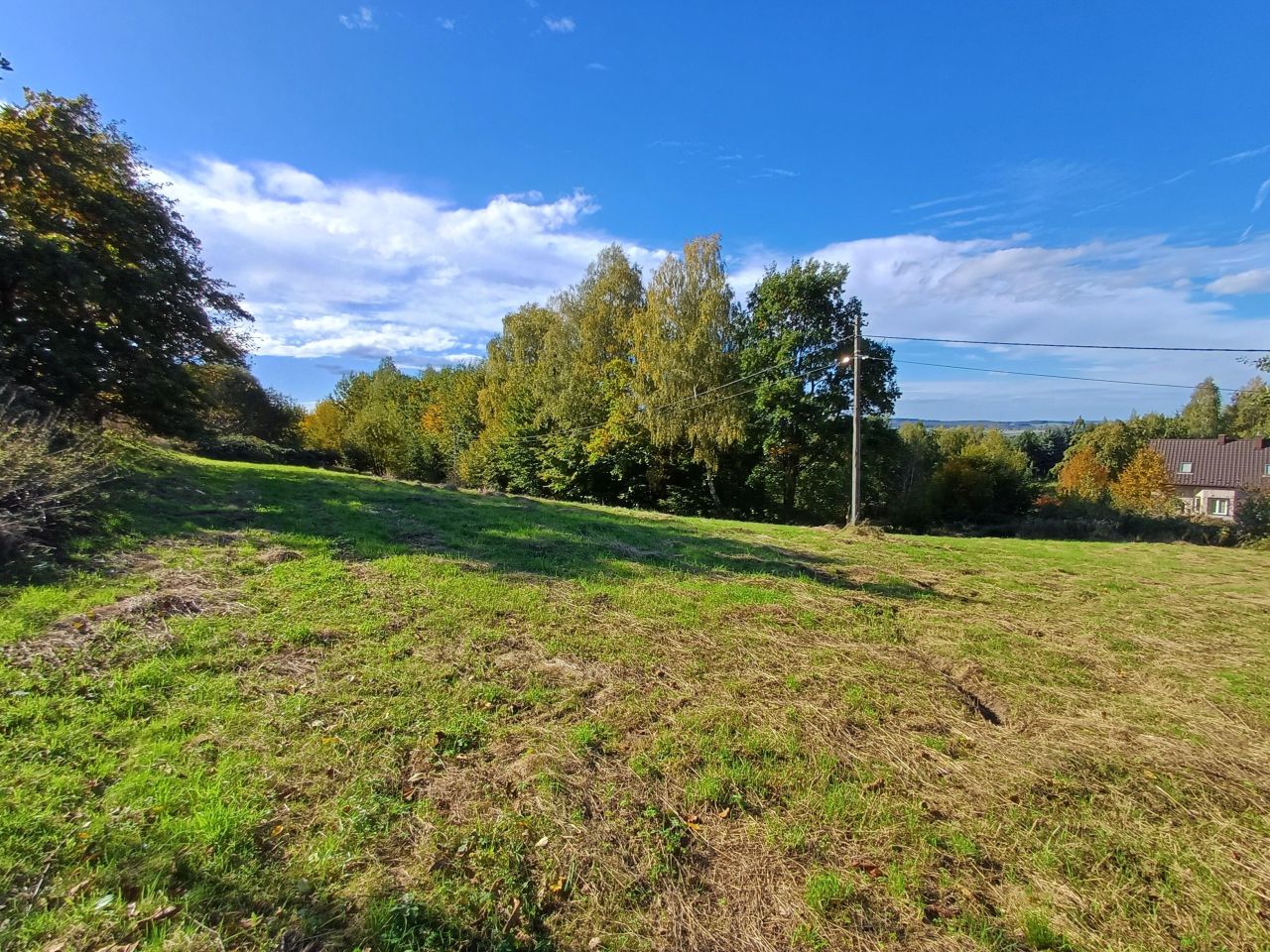 Działka rolno-budowlana Jaroszówka. Zdjęcie 6