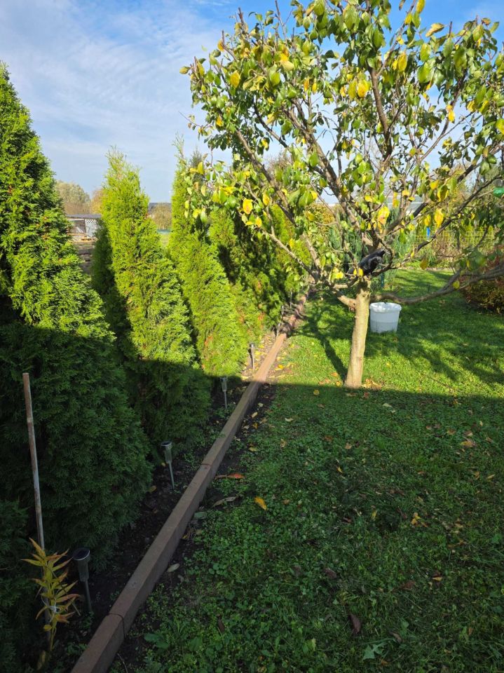 Działka rod Rydlewo. Zdjęcie 6