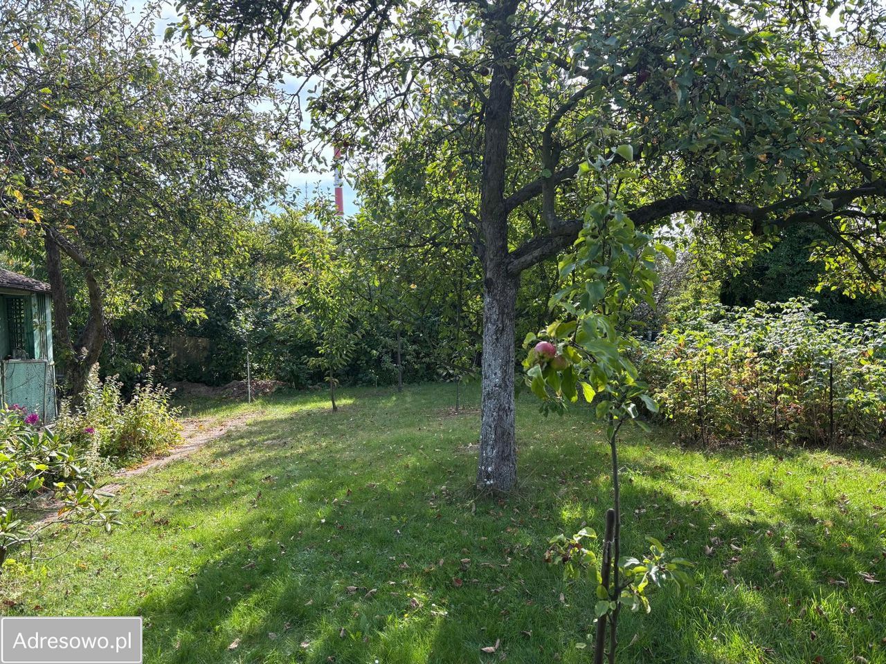 Działka rekreacyjna Sosnowiec Pogoń. Zdjęcie 4