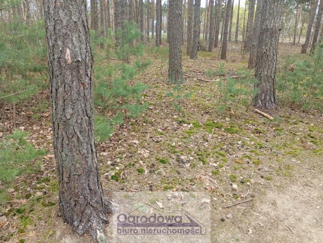 Działka budowlana Wilcza Góra. Zdjęcie 3