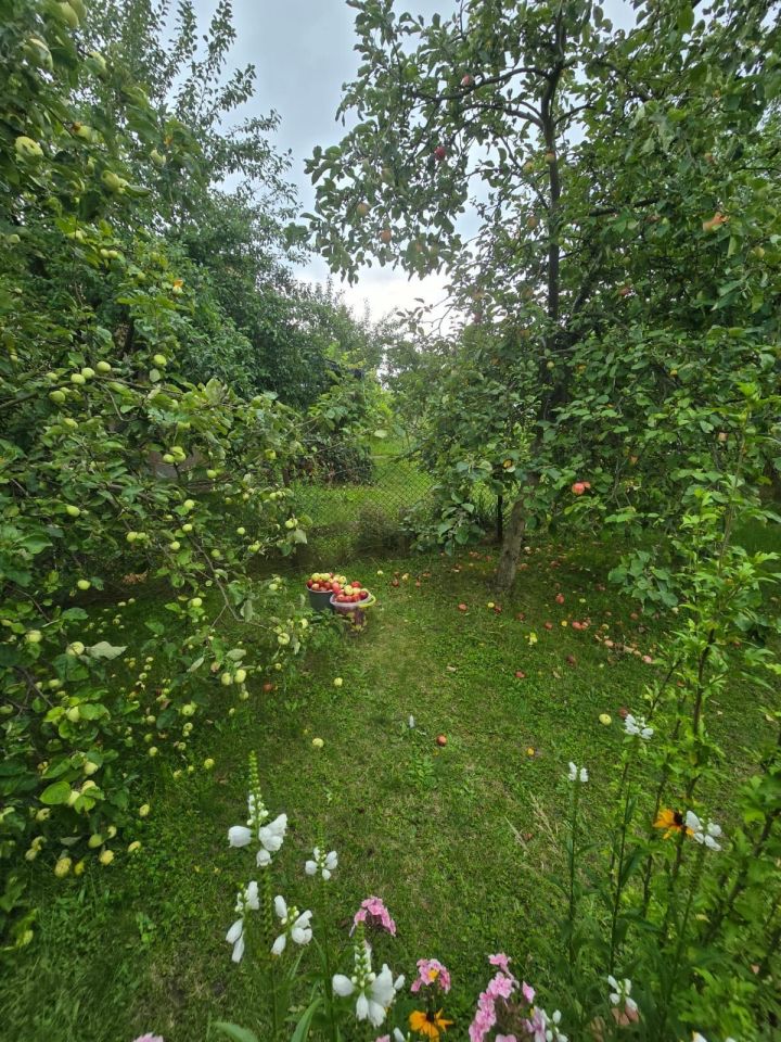 Działka rod Gliwice Kopernik. Zdjęcie 6