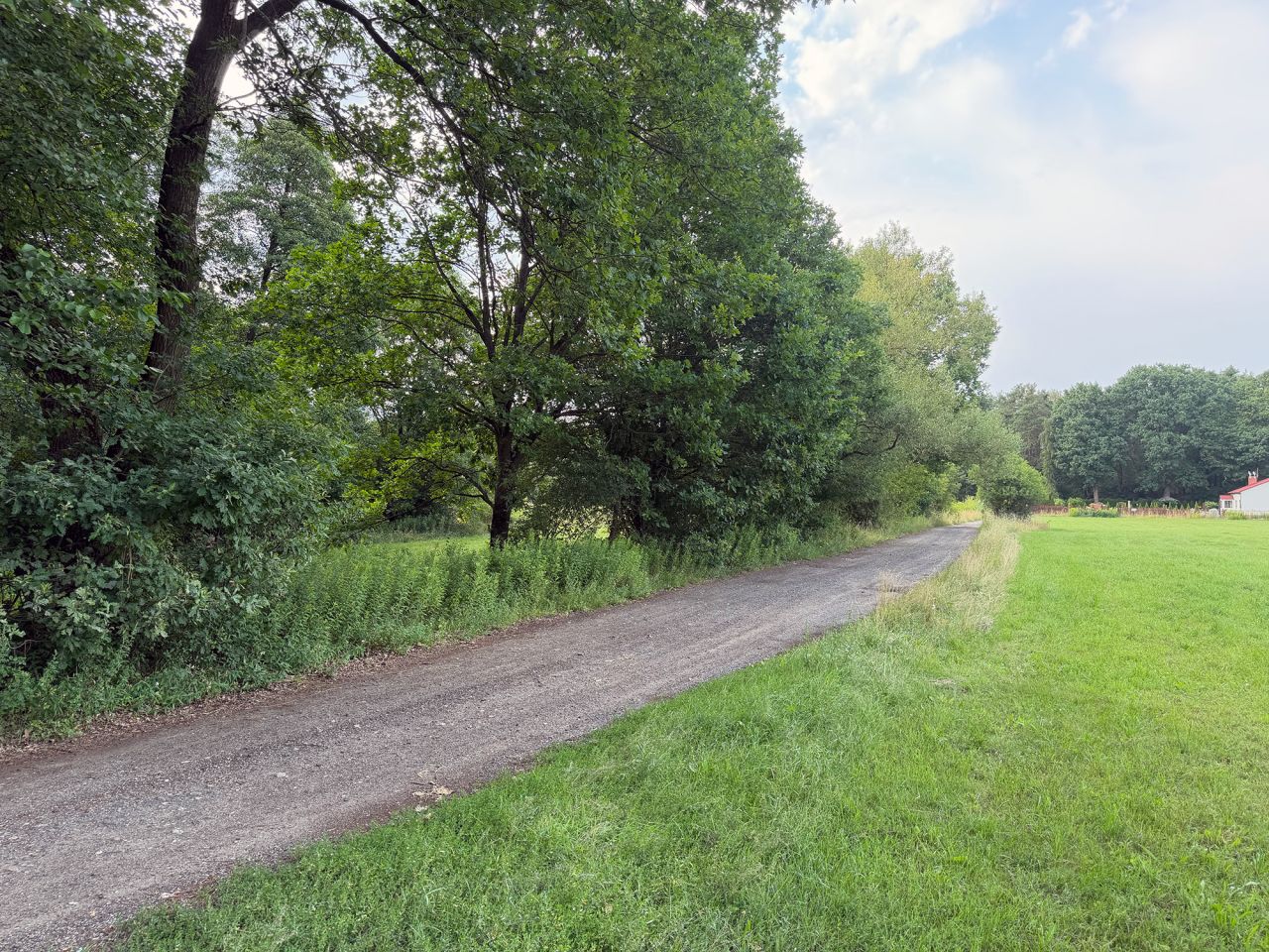 Działka rekreacyjna Piaski Duchowne. Zdjęcie 6