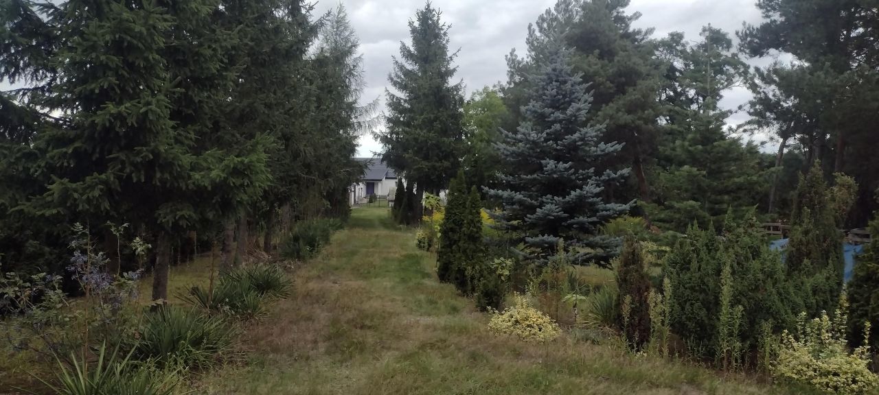 dom wolnostojący, 2 pokoje Smolnik. Zdjęcie 10