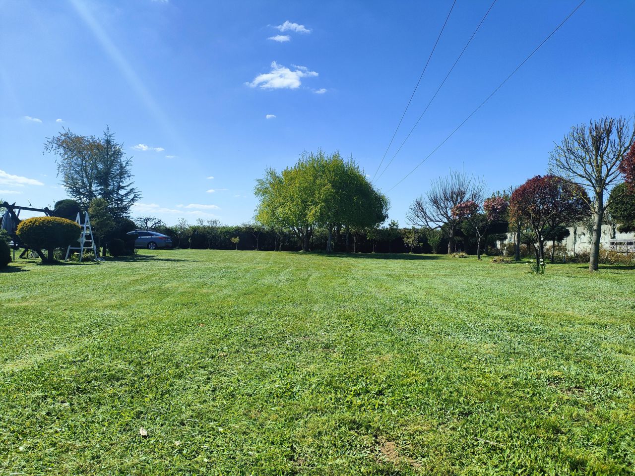 Działka rolna Wiechowo. Zdjęcie 15