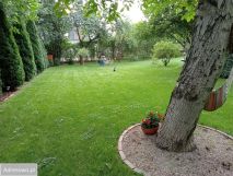 Działka budowlana Dziekanów Leśny. Zdjęcie 2