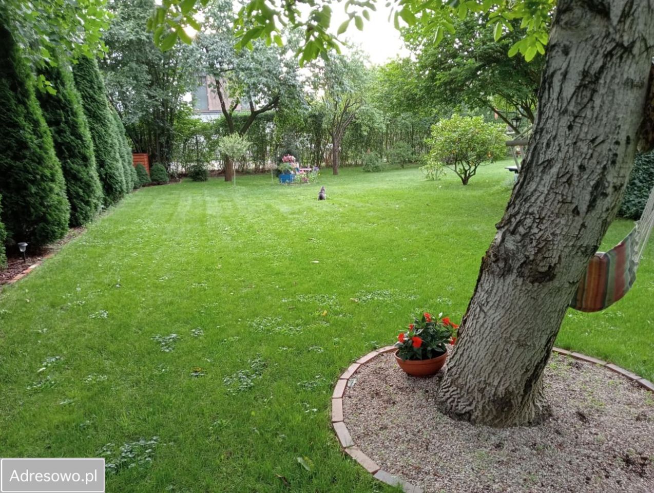 Działka budowlana Dziekanów Leśny. Zdjęcie 3