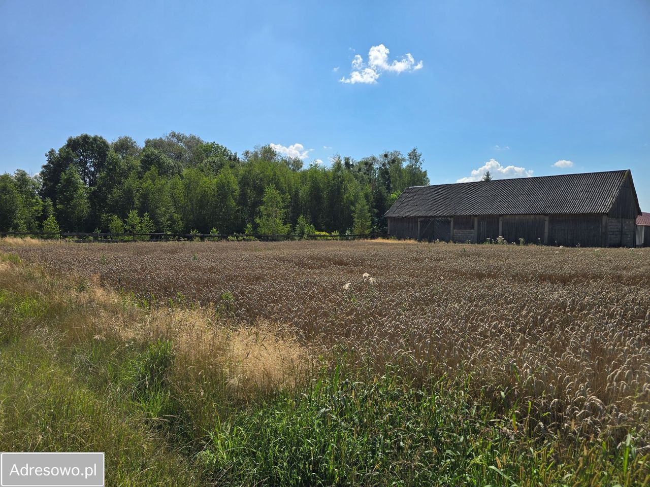 siedlisko, 3 pokoje Kuraszewo. Zdjęcie 9
